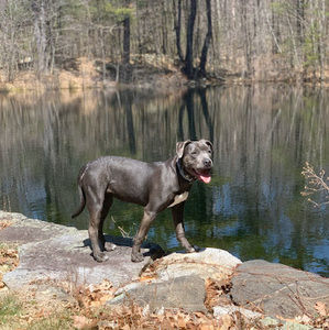 Meet your Posher, Parker